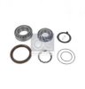 DT 2.96203 Repair Kit, wheel hub